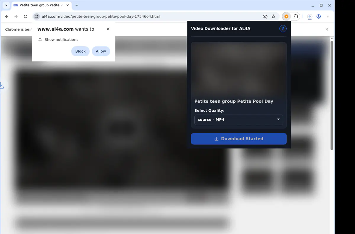 Al4a Video Downloader screenshot 2