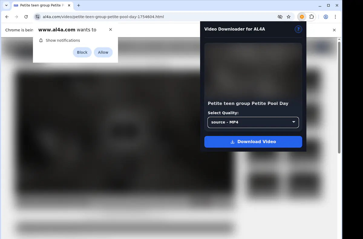 Al4a Video Downloader screenshot 3