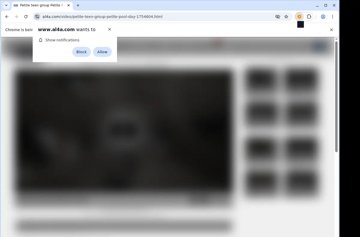 Al4a Video Downloader screenshot 5